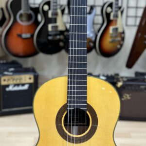 Flamenca José Gómez