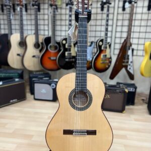 Flamenca Paco Castillo