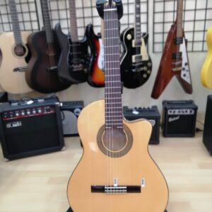 Flamenca electrificada José Torres