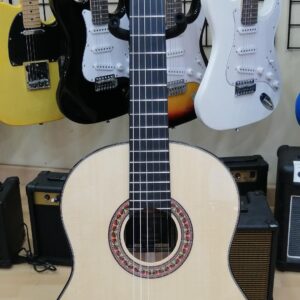 Flamenca Antonio de Toledo